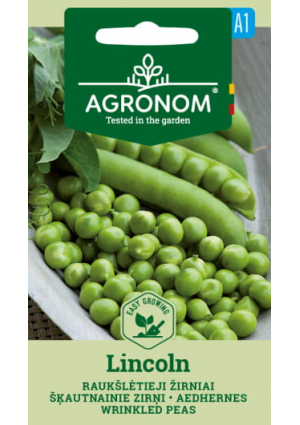 Borsó Lincoln SL AGR