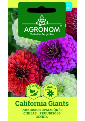 Rézvirág California Giants SL AGR