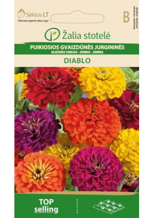 Rézvirág (Diablo) Z.S SL