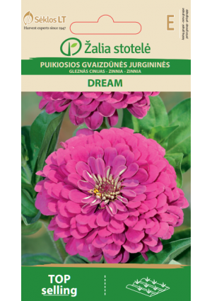 Rézvirág Dream Z.S SL