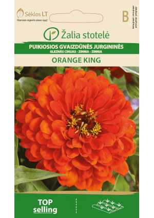 Rézvirág Orange King Z.S SL