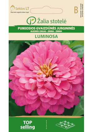 Rézvirág Luminosa Z.S SL