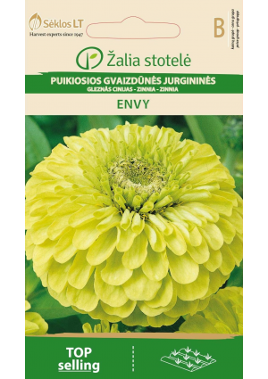 Rézvirág Envy Z.S SL