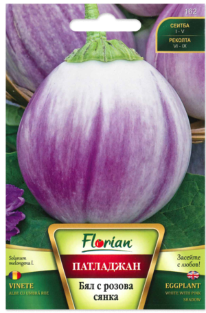 Padlizsán White With Pink Shadow Florian Bg