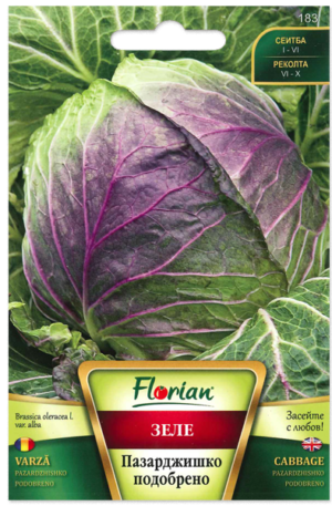 Káposzta Pazardzhishko podobreno Florian Bg