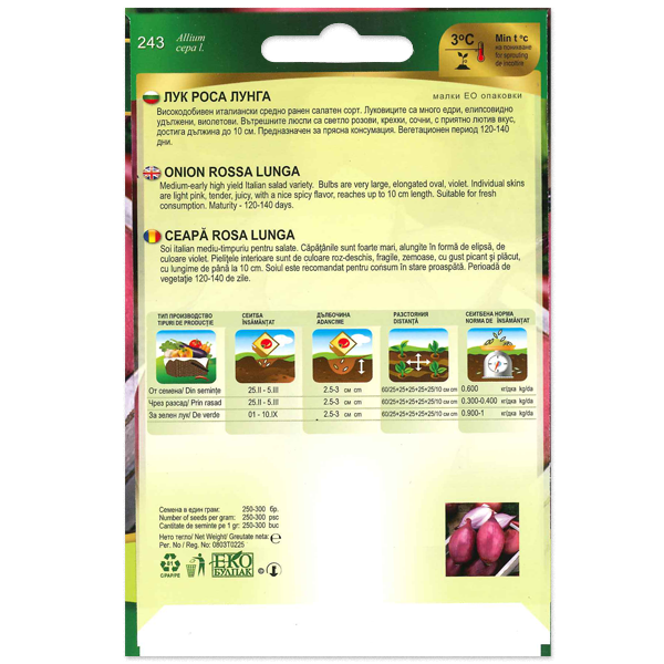 Hagyma Rossa Lunga Florian Bg - Image 2