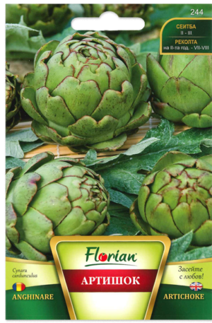 Articsóka Florian Bg