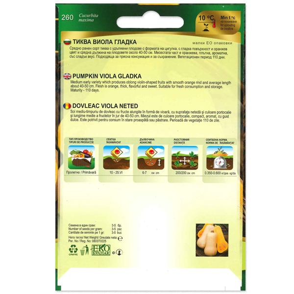 Sütőtök Viola Gladka Florian Bg - Image 2