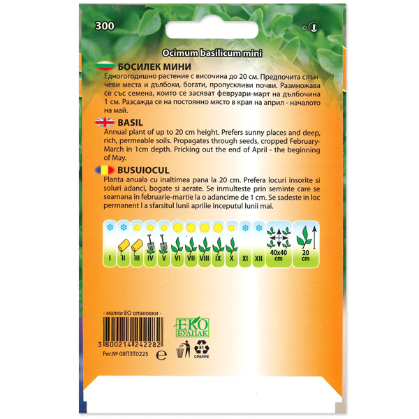 Bazsalikom mini Florian Bg - Image 2