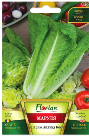 Saláta Paris Island Cos Florian Bg