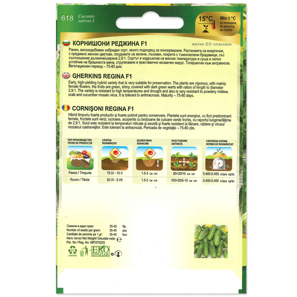 Uborka Regina Florian Bg - Image 2