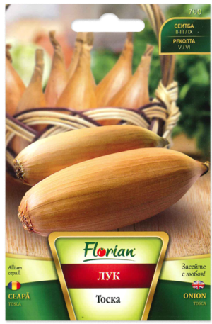 Hagyma Tosca Florian Bg