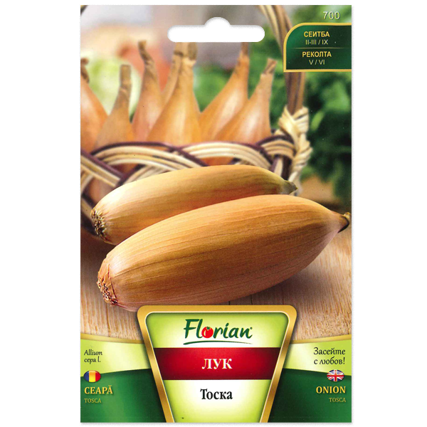 Hagyma Tosca Florian Bg