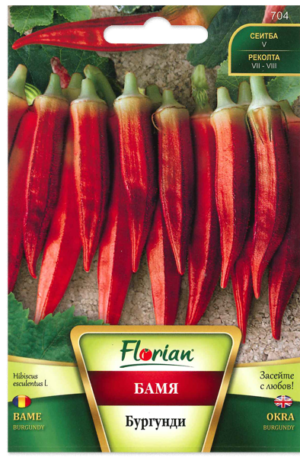 Okra Burgundy Florian Bg