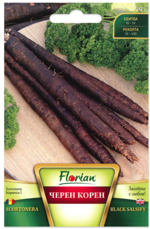 Feketegyökér Black Salsify Florian Bg