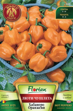 Paprika Habanero Orange Florian Bg