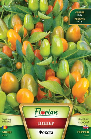 Paprika Foxta Florian Bg