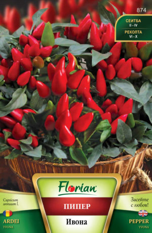 Paprika Yvona Florian Bg