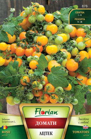 Paradicsom Aztek Florian Bg