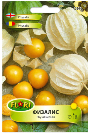 Perui földi-cseresznye Florian Bg