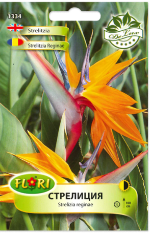 Papagáj virág Florian Bg