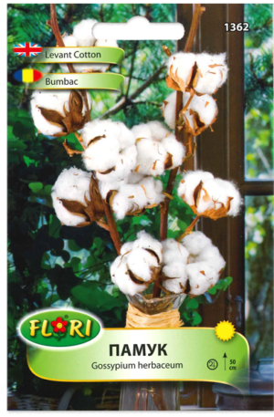 Levantei Gyapot Florian Bg