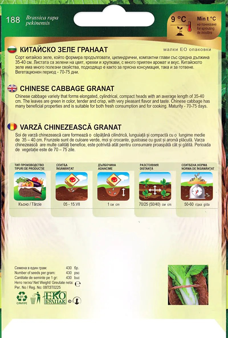 Kínai kel Granat Florian Bg - Image 2