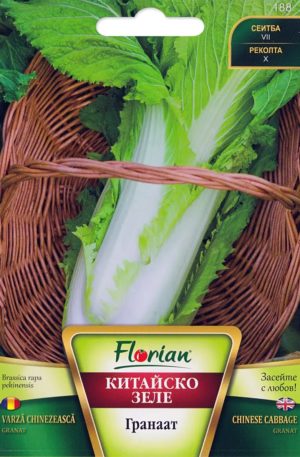 Kínai kel Granat Florian Bg