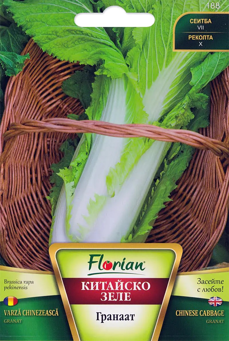 Kínai kel Granat Florian Bg