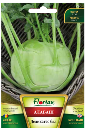 Karalábé Delicacy White Florian Bg