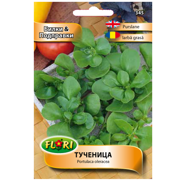 Kövér porcsin Florian Bg