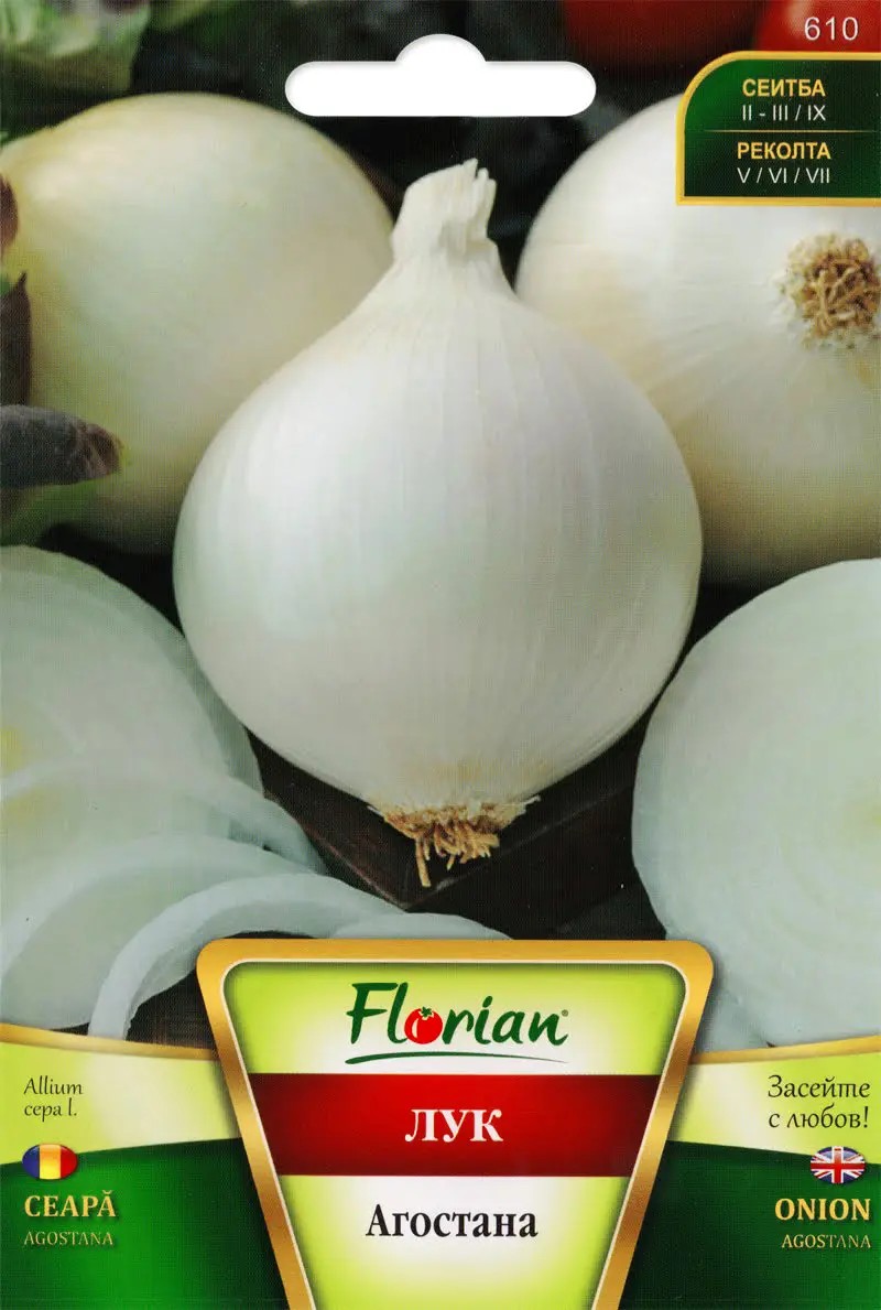 Hagyma Agostana Florian Bg