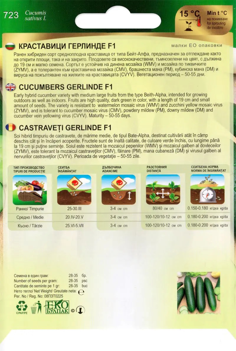 Uborka Gerlinde F1 Florian Bg - Image 2