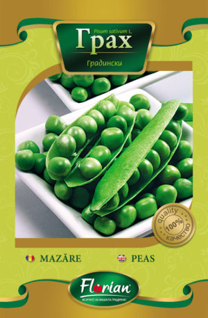 Borsó Ran 1  Florian Bg