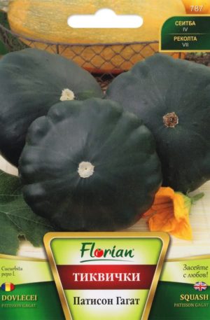 Patiszon Gagat Florian Bg