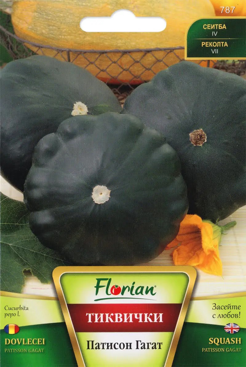 Patiszon Gagat Florian Bg