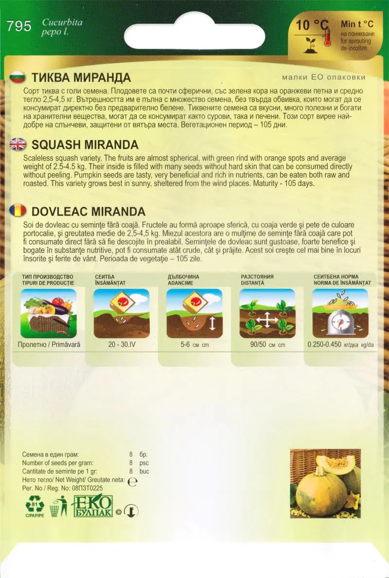 Sütőtök Miranda(Olajtök) Florian Bg - Image 2