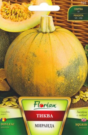 Sütőtök Miranda(Olajtök) Florian Bg