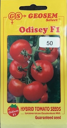 Paradicsom Odisey F1 50 szem Geosem