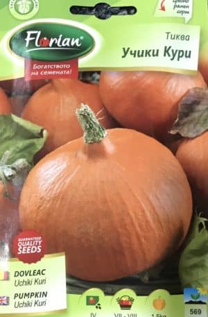 Sütőtök Uchiki kuri Florian Bg