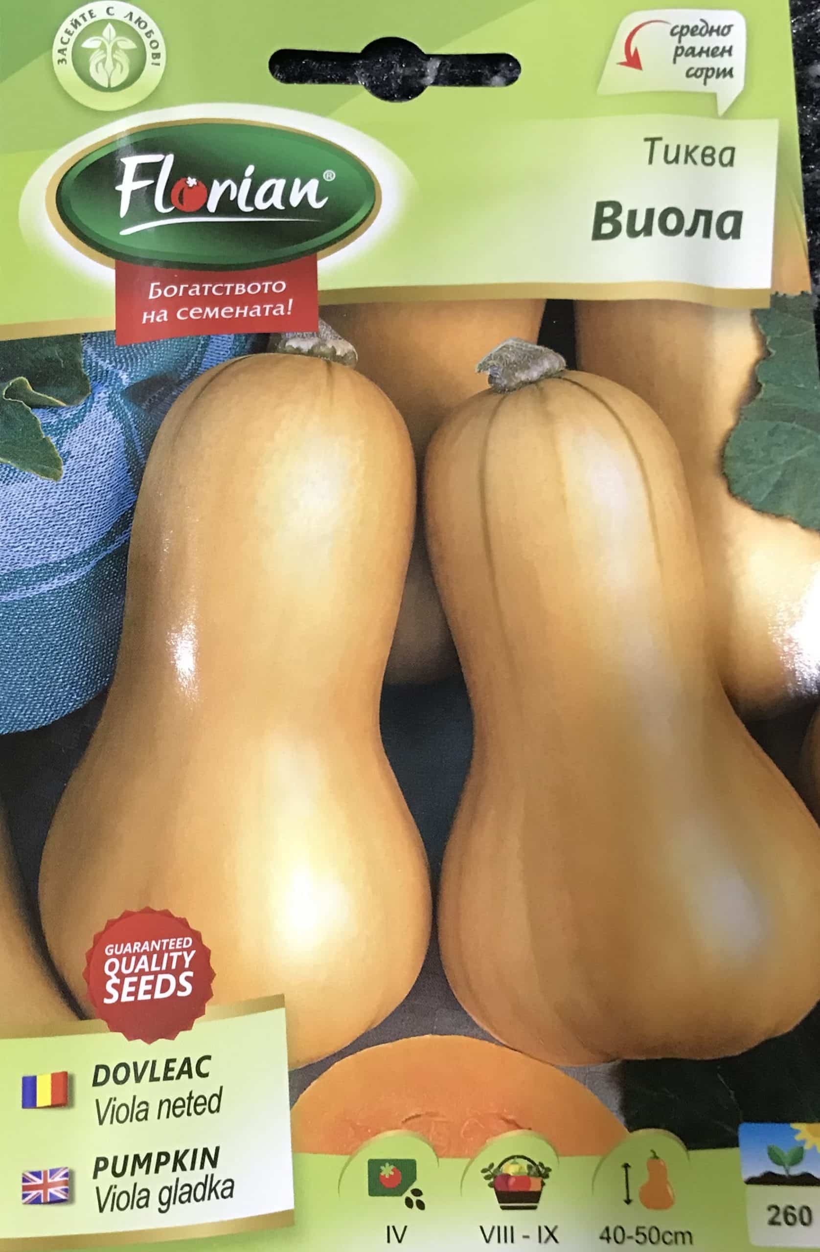 Sütőtök Viola Gladka Florian Bg