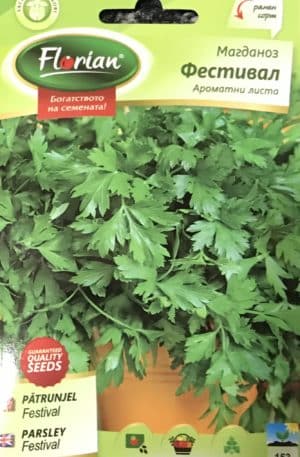 Petrezselyem zöld Festival Florian Bg