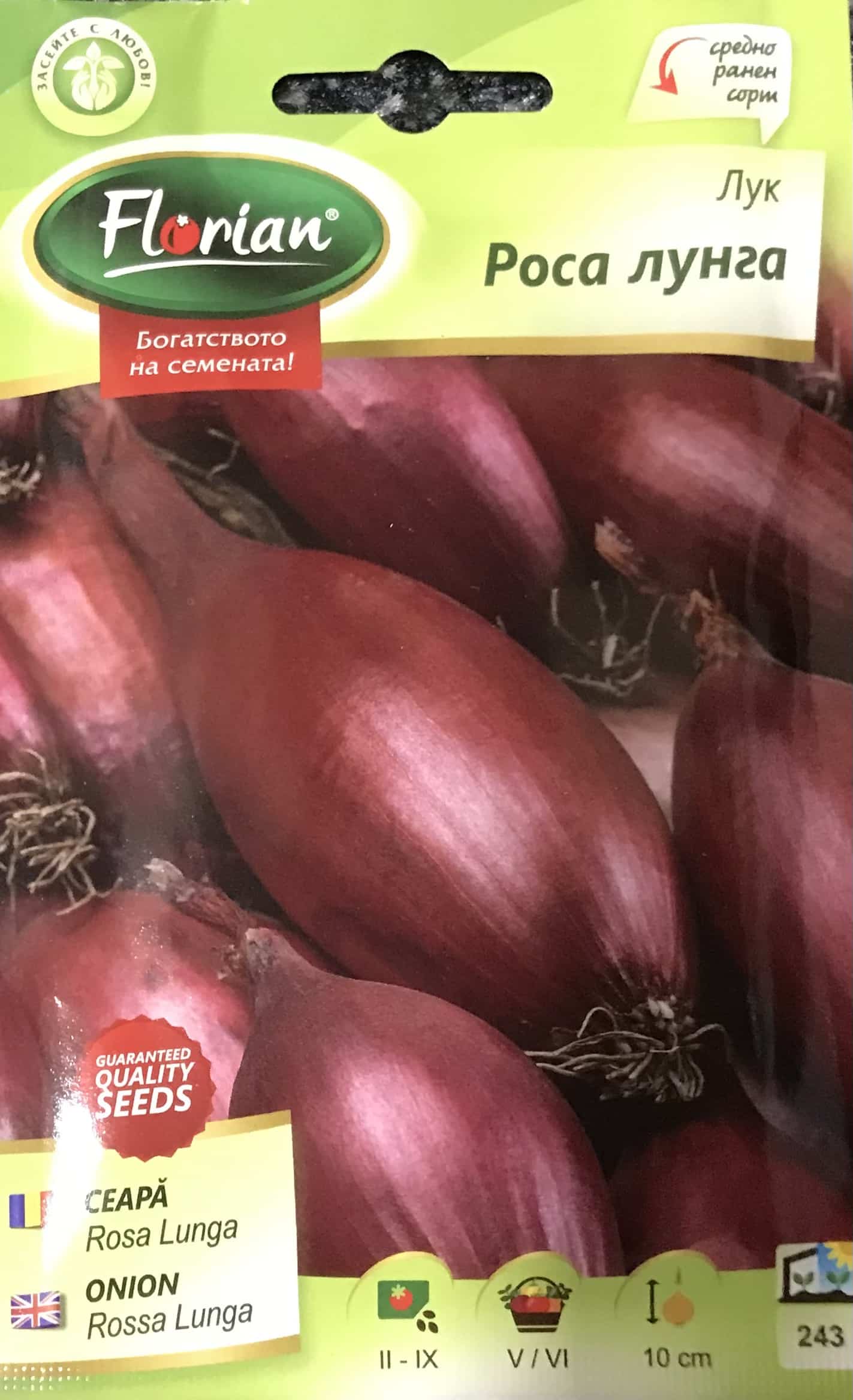 Hagyma Rossa Lunga Florian Bg