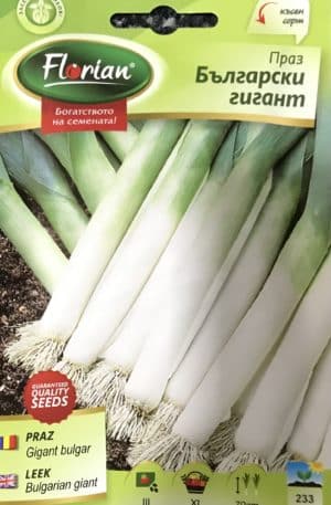 Póréhagyma Bulgarian Giant Florian Bg