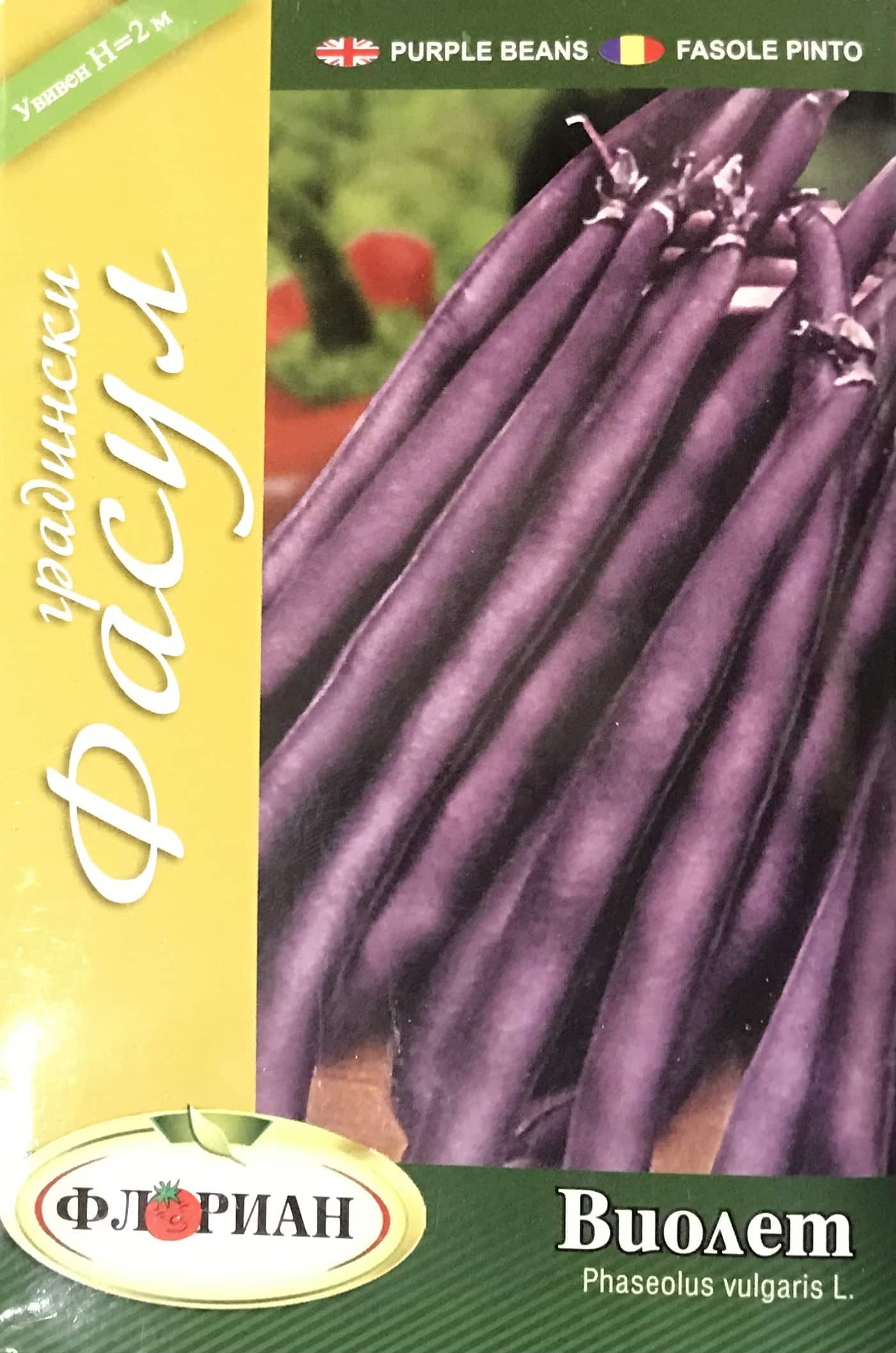 Bab (Zöldbab) Purple Florian Bg