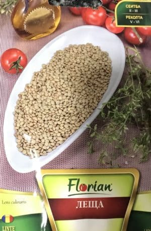 Lencse Lens Culinaris Florian Bg