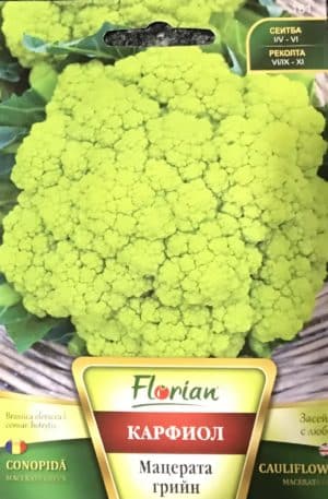 Karfiol Macerata Green Florian Bg