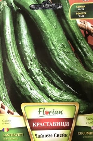 Uborka Chinese Snake Florian Bg