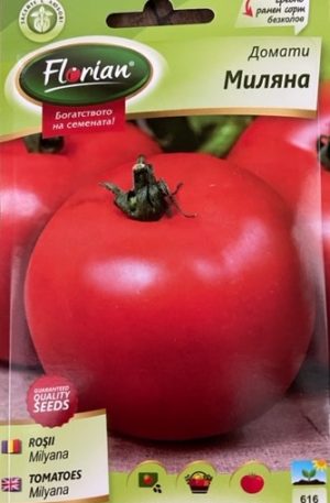 Paradicsom Milyana Florian Bg