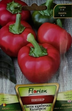 Paprika Chilly bell peppers Kalabrese Florian Bg
